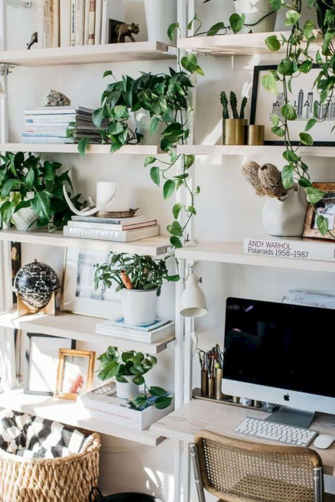 Home-decor-ideas-with-plants-1
