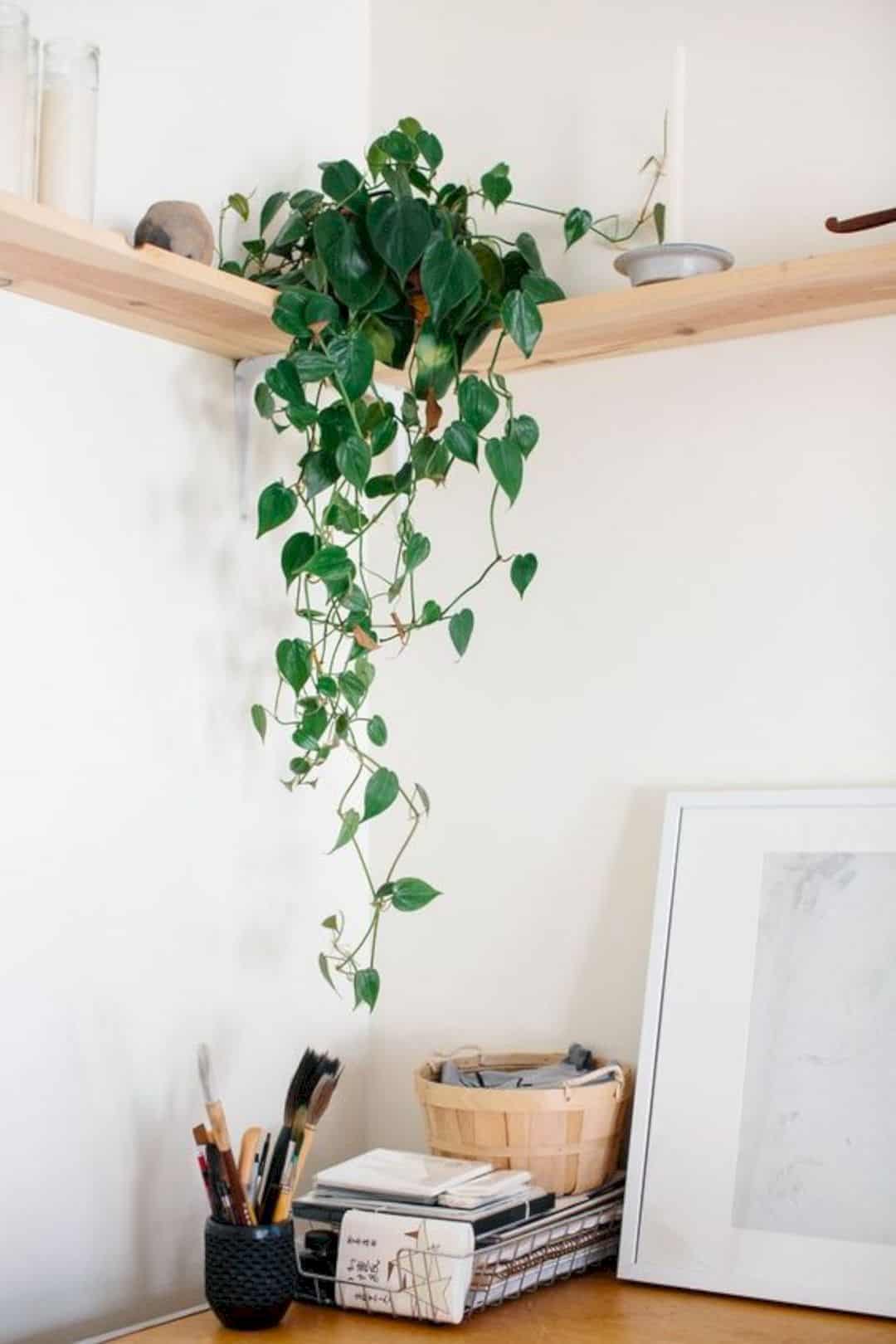 Home-decor-ideas-with-plants-10-1