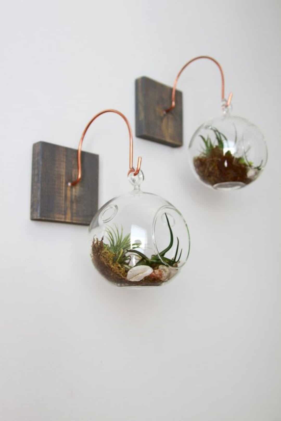 Home-decor-ideas-with-plants-14