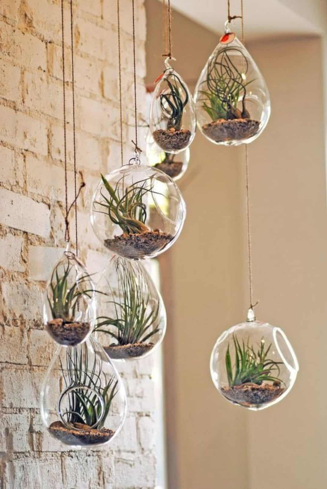 Home-decor-ideas-with-plants-2