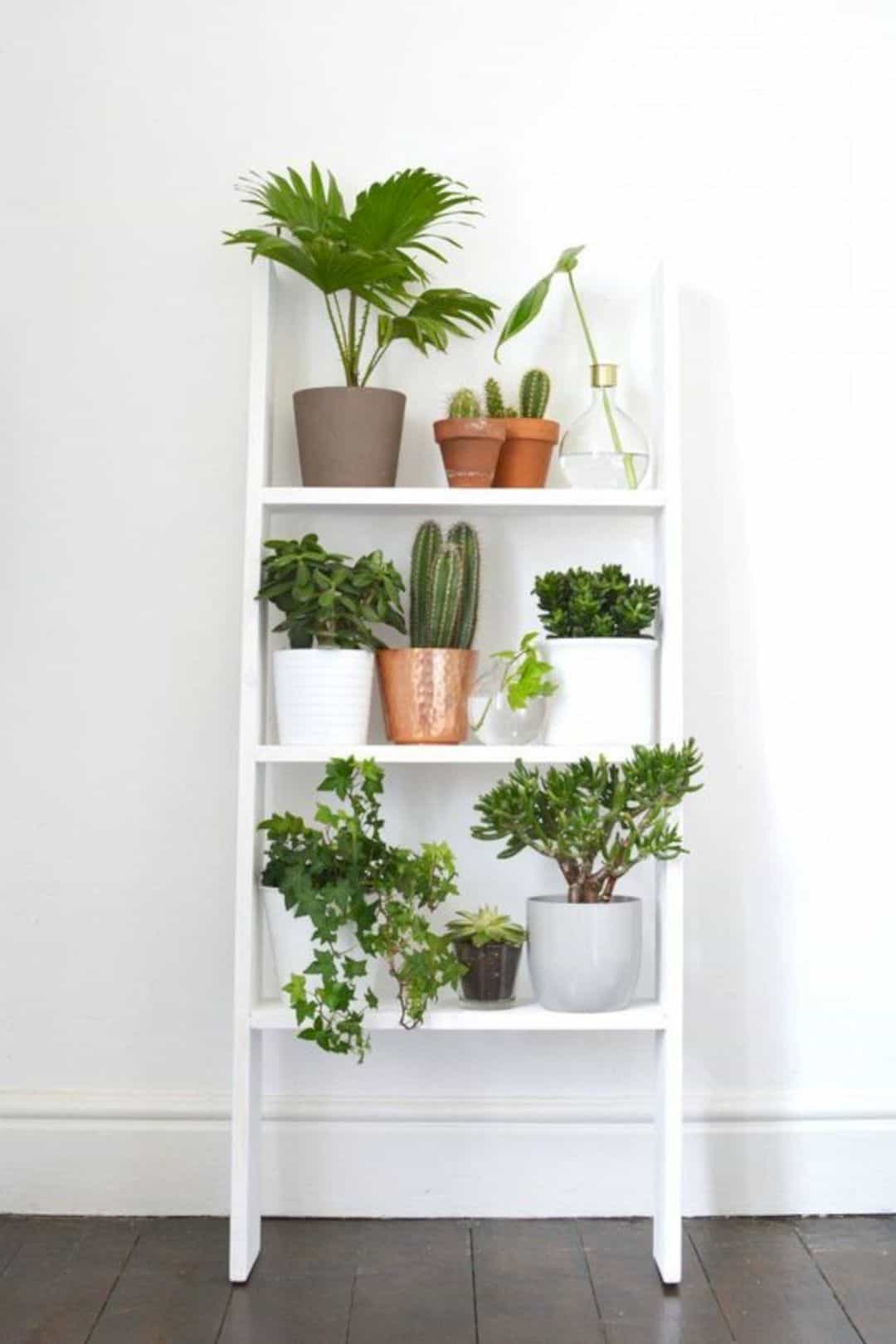 Home-decor-ideas-with-plants-3