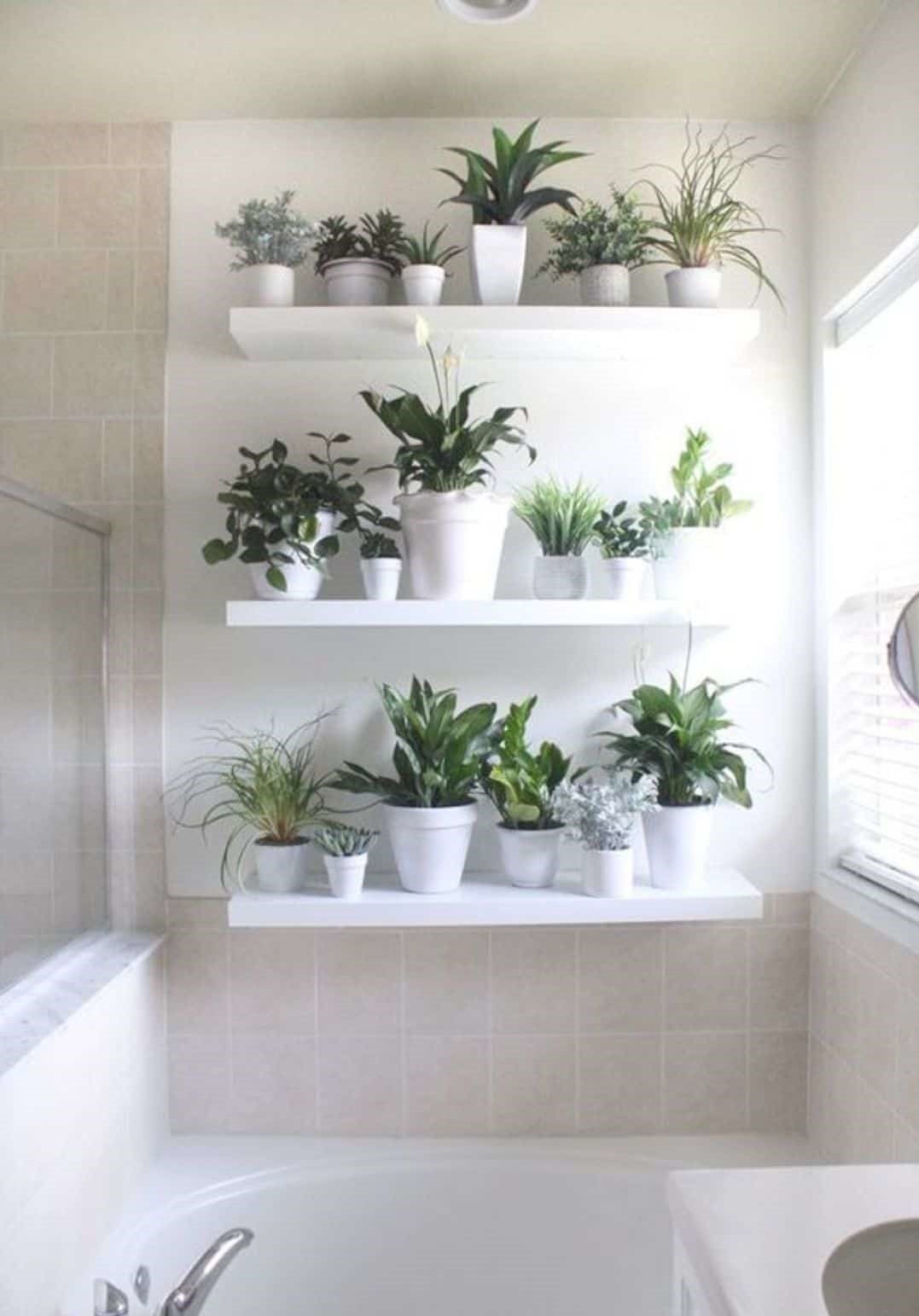 Home-decor-ideas-with-plants-4