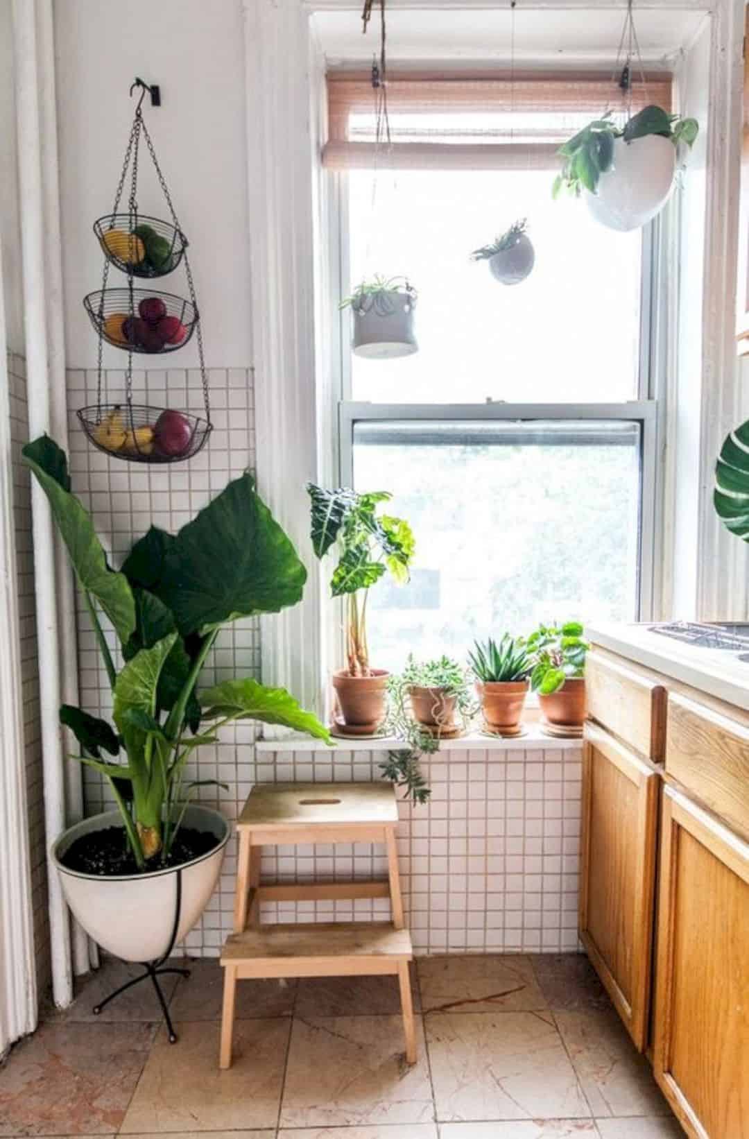 Home-decor-ideas-with-plants-5