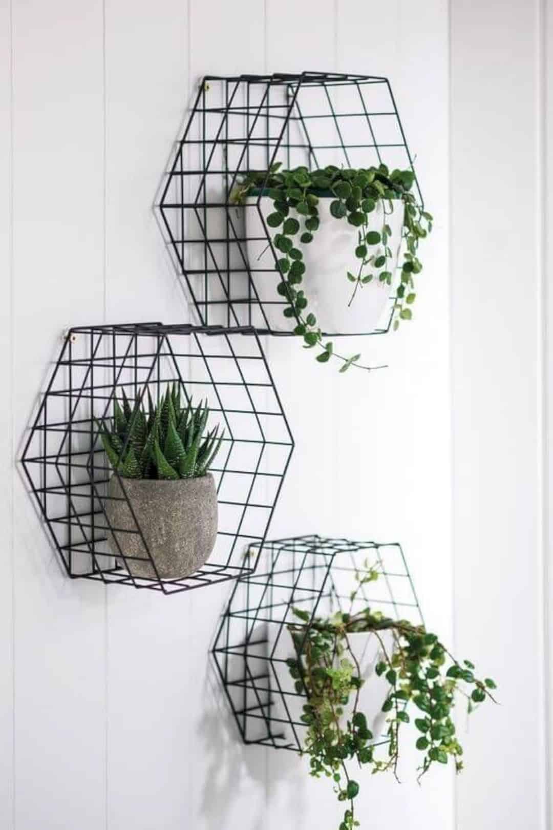 Home-decor-ideas-with-plants-6