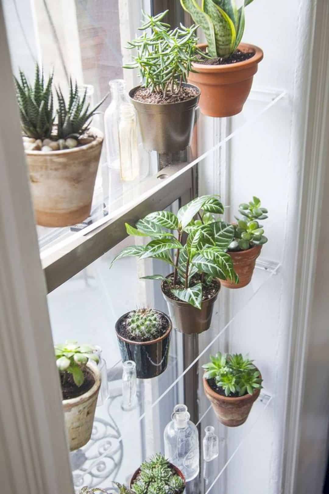 Home-decor-ideas-with-plants-9