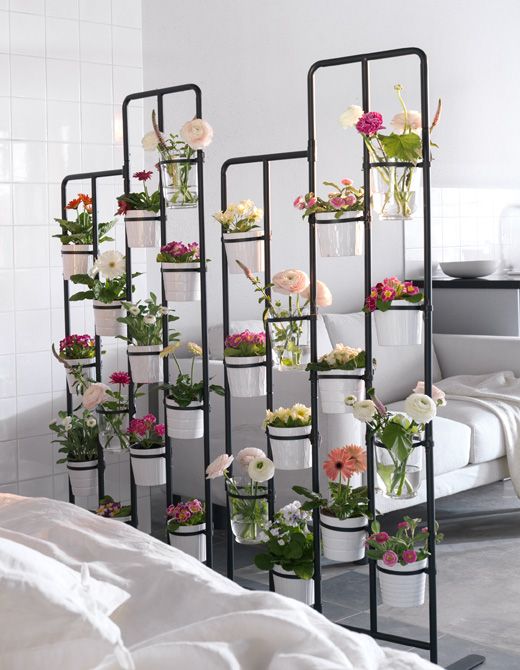 Indoor-garden-room-divider-for-small-studio-apartment