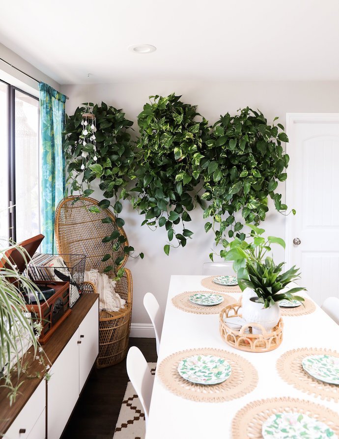 Indoor-garden-3