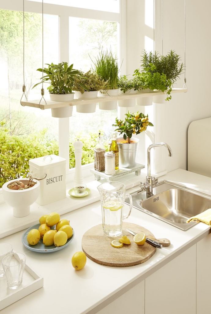 Indoor-garden-6-1