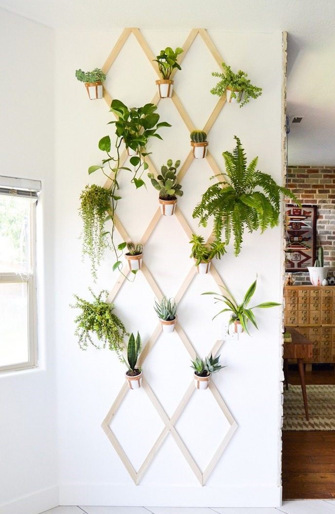 Indoor-garden-7-2