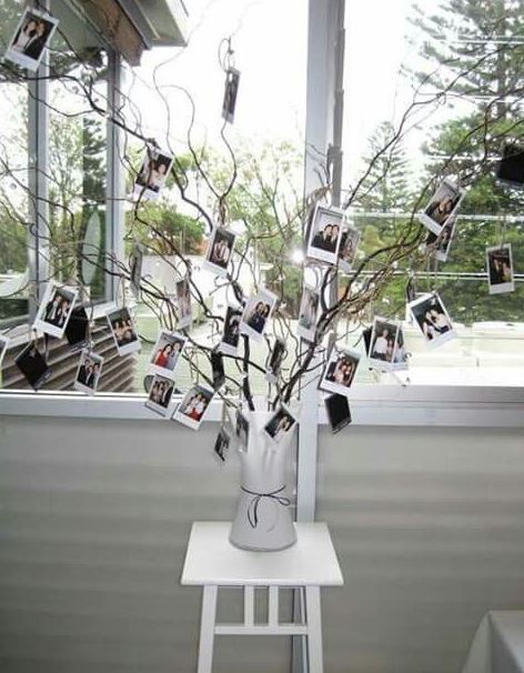 On-tree-photo-hs