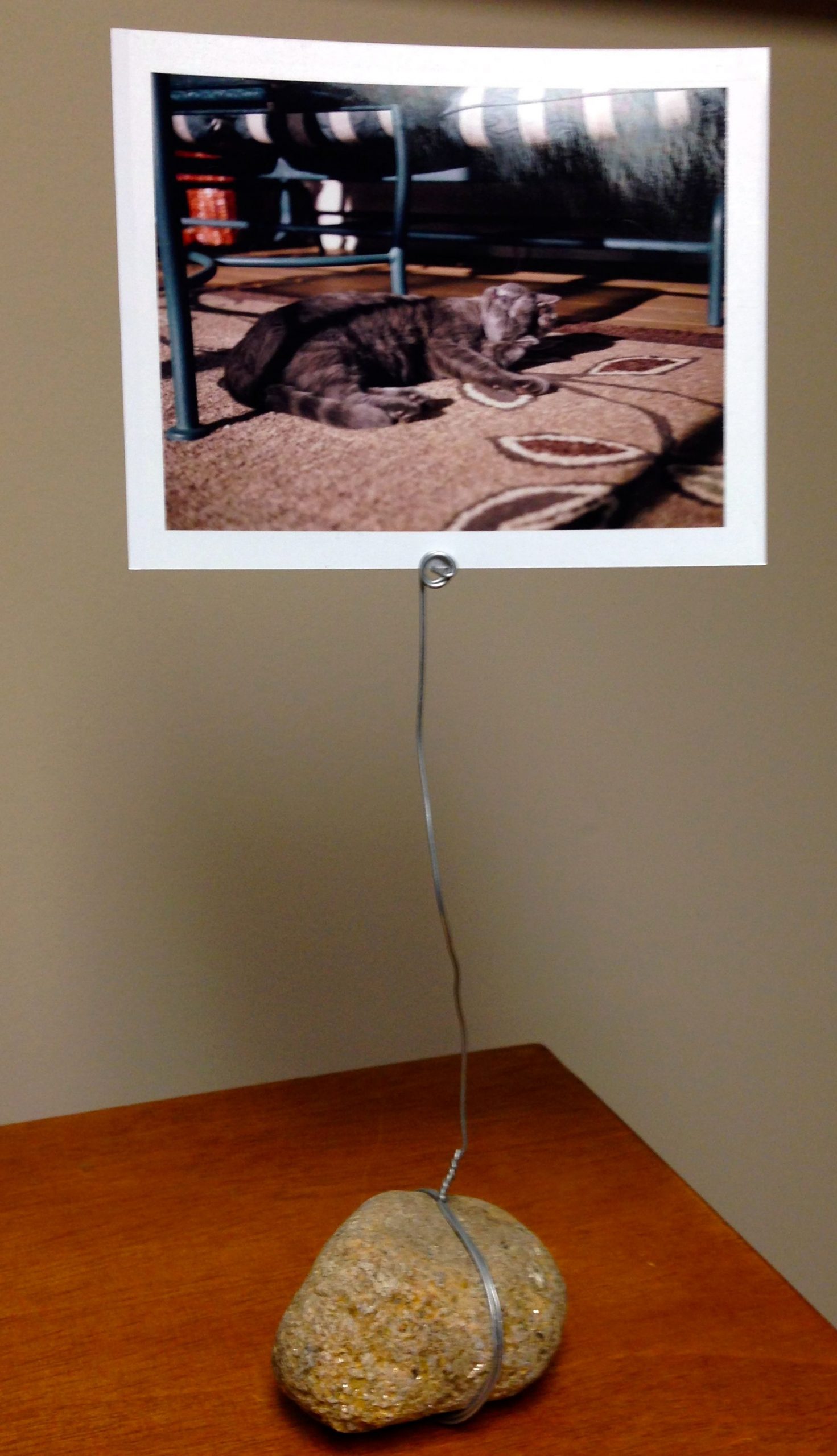 Polaroid-display-2