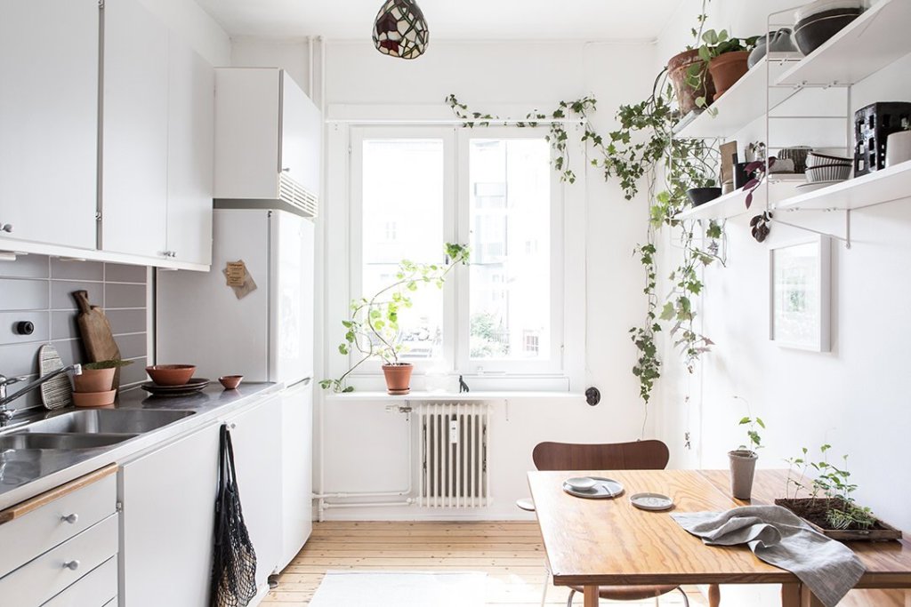 Scandinavian_home_interior_plants_2-1