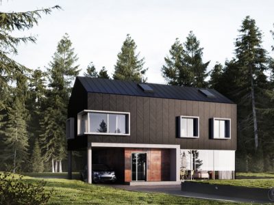 Wood-and-plaster-in-forest-exterior-home-design-ideas