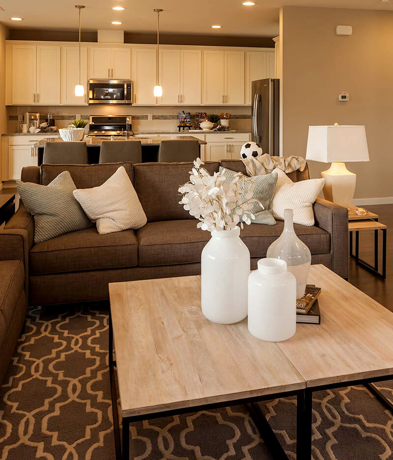 06-beige-living-room-design-ideas-homebnc