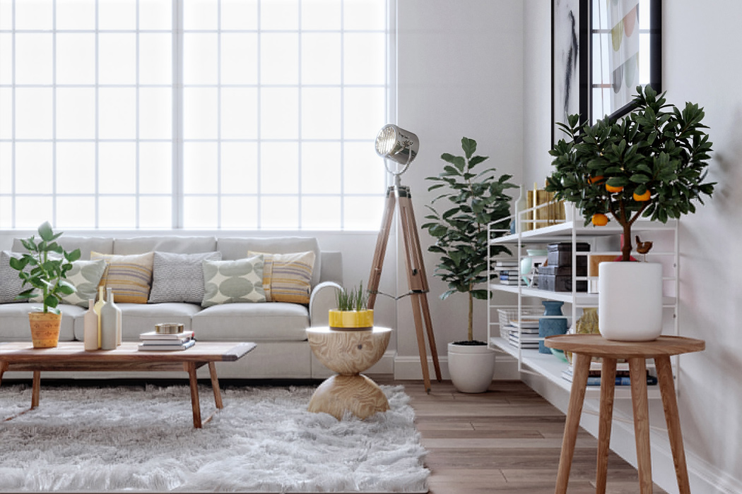 07-living-room_modern-interiors_le-anh
