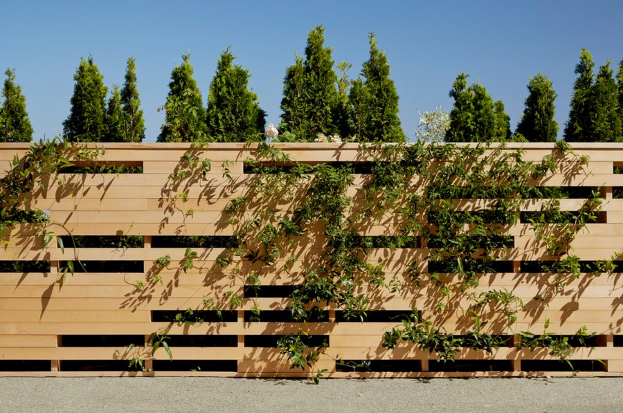 1-garden-privacy-fence-that-celebrates-plants
