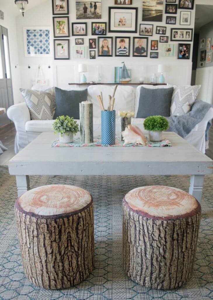 1-rustic-and-coastal-living-room-1-of-1-729x1024-1