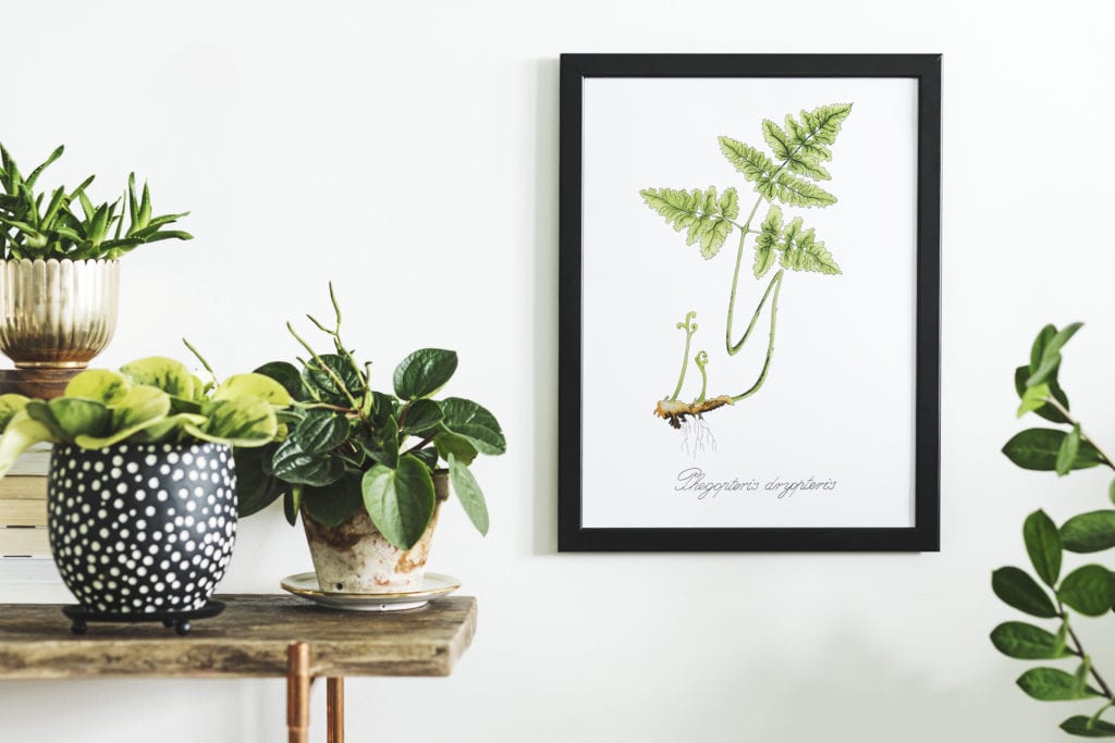 Adobestock_211573012