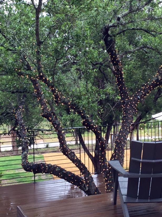 Lights on the tree
