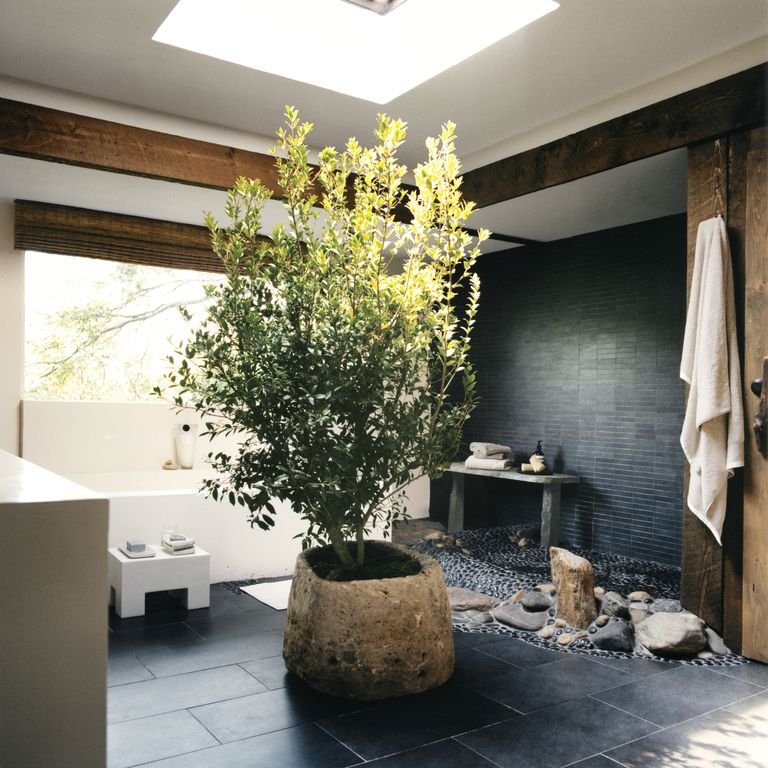 Natural bathroom with plant inside
