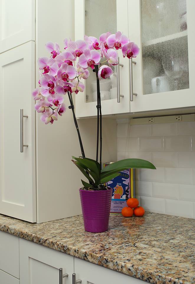 Decorate-kitchen