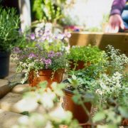 Gallery-1496598531-person-preparing-window-box-for-planting