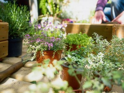 Gallery-1496598531-person-preparing-window-box-for-planting