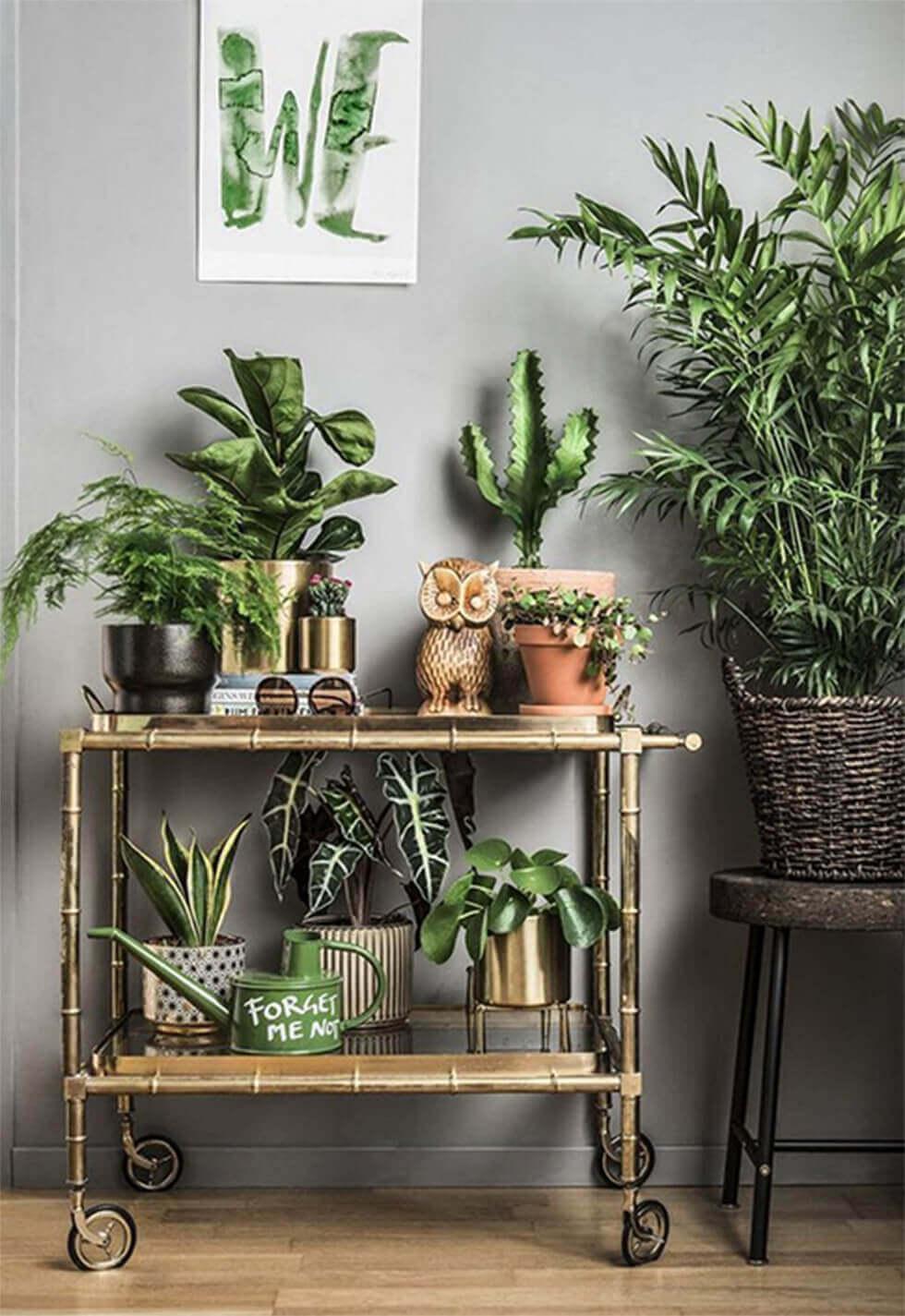 1-01-rolling-cart-filled-with-several-pots-of-plants-and-home-decor