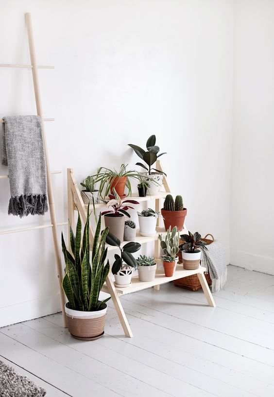 13-a-modern-and-comfy-ladder-plant-stand-for-a-modern-and-fresh-serene-space