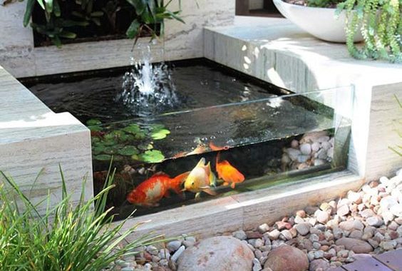 2-watery-window