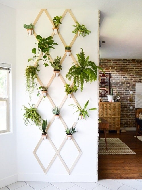 28wall-hanging-plant-decor-ideas-1