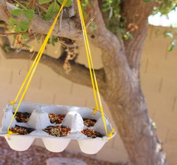 Egg-carton-bird-feeder-768x576-1