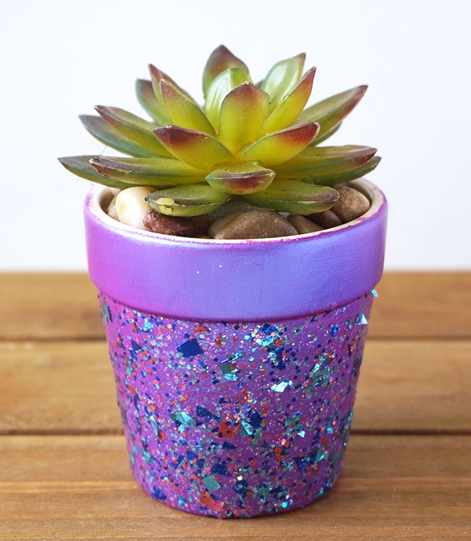 Purple-pot-succulent