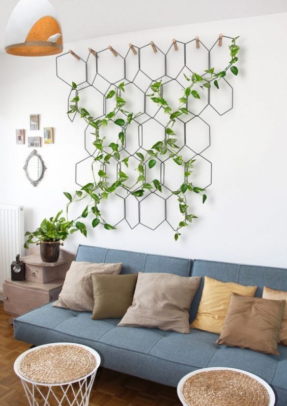 A-grid-attached-to-the-wall-with-a-climbing-plant-is-a-simple-and-very-cool-spring-decoration-you-can-rock
