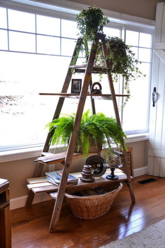 Decor-ideas-with-ladders-32-554x830-1