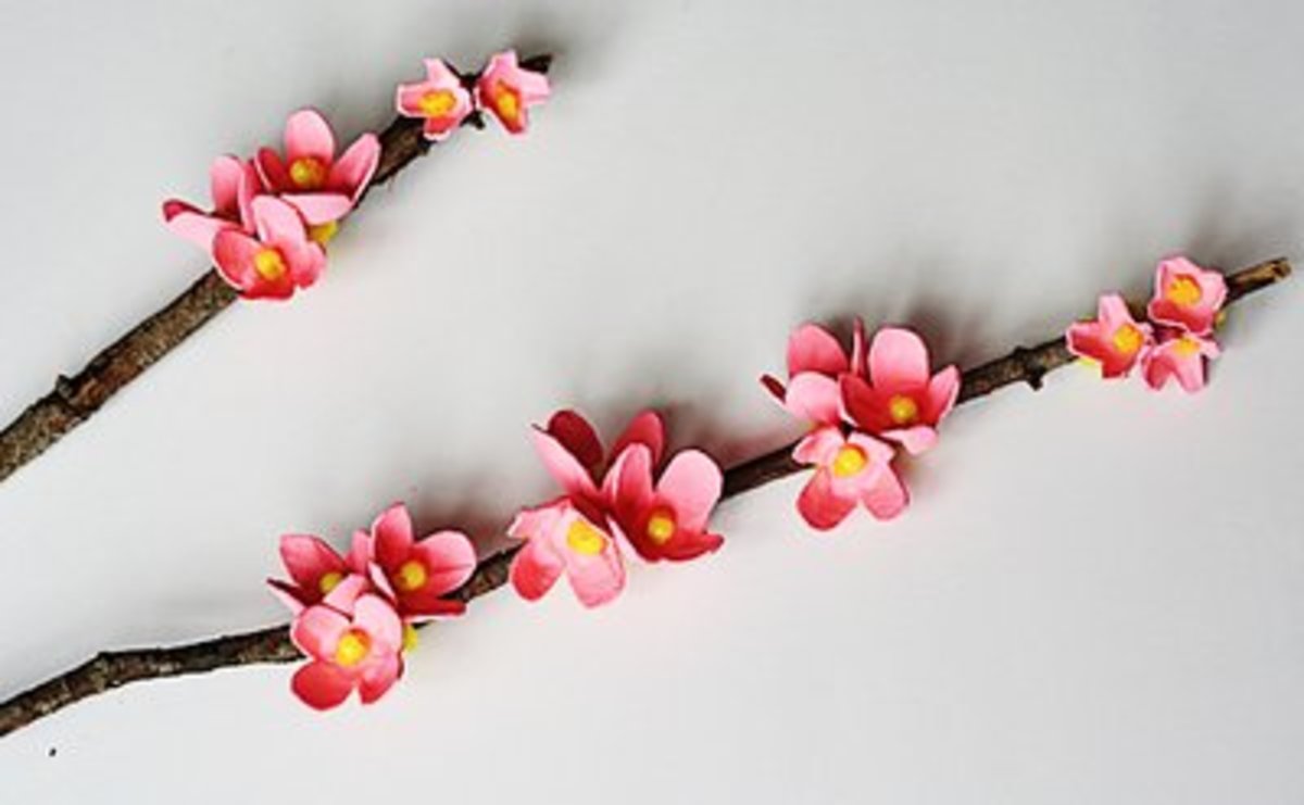 How-to-make-egg-carton-crafts-6