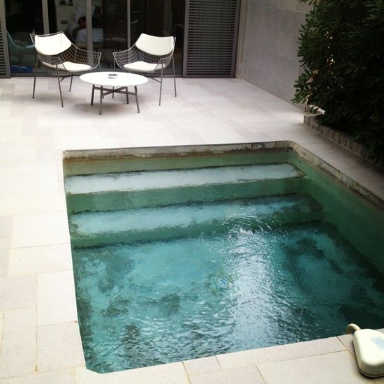 Square-plunge-backyard-pool