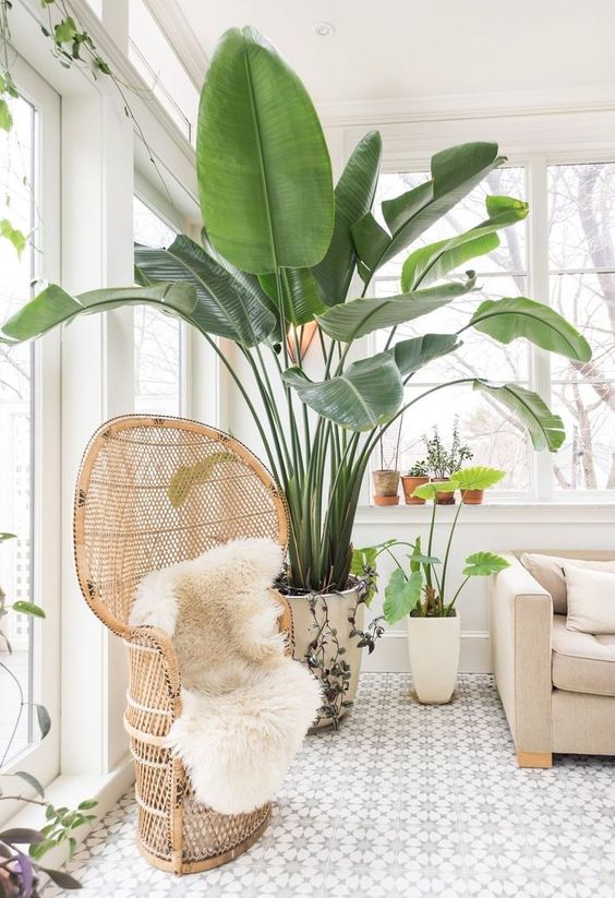 1-decorating-home-corners-with-plants11