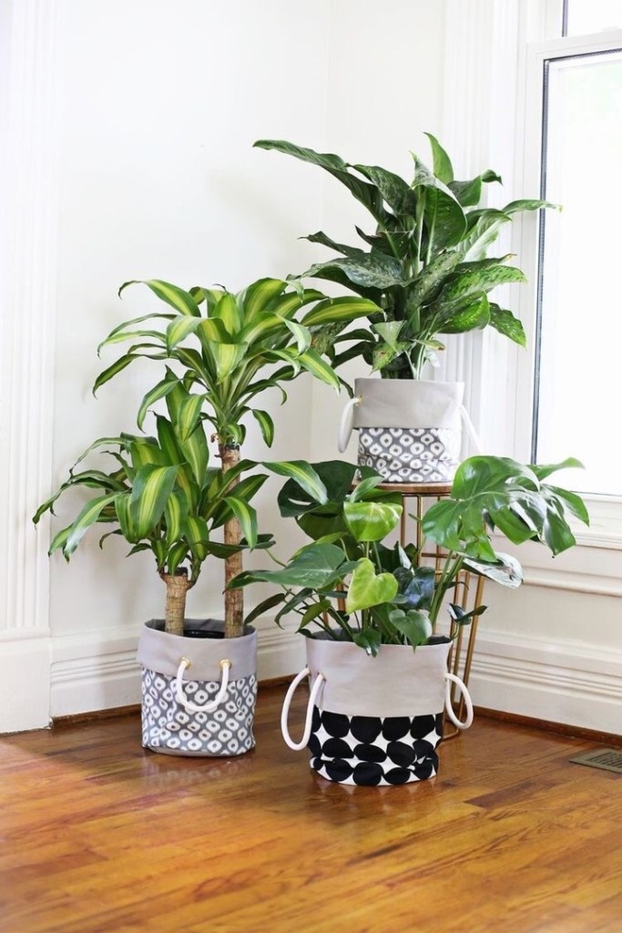 1-decorating-home-corners-with-plants2