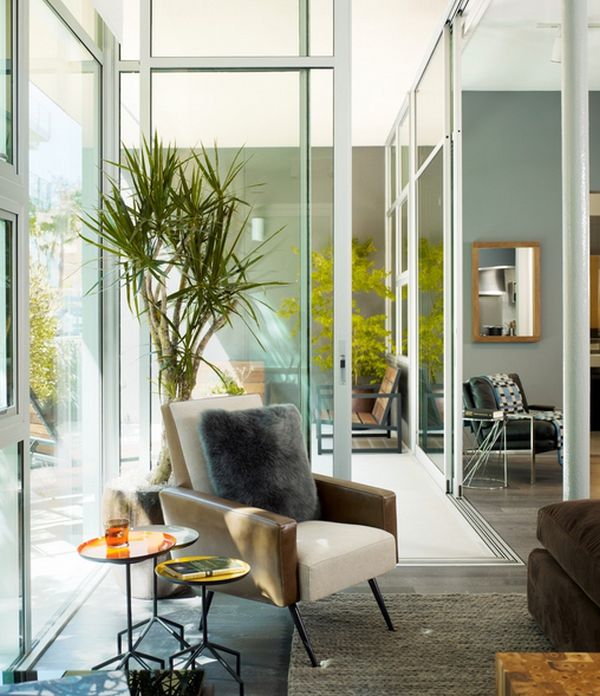 2-dracaena-corner-plant