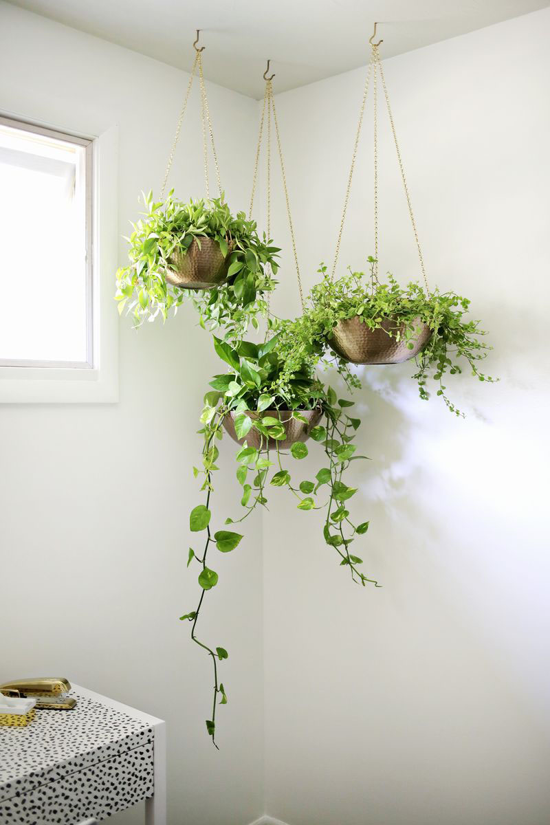 Indoor-garden_201016_08