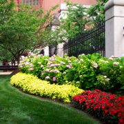 St-louis-commercial-landscaping
