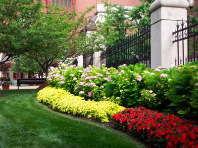 St-louis-commercial-landscaping