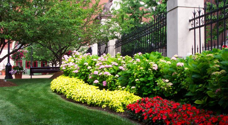 St-louis-commercial-landscaping