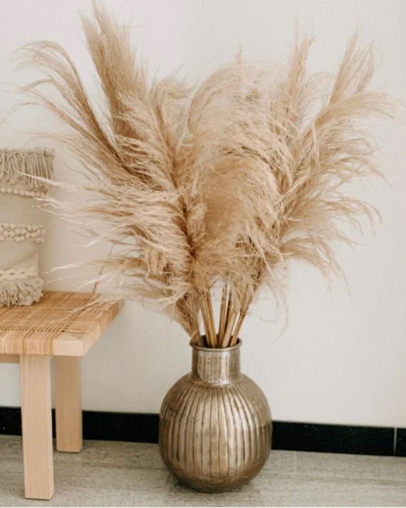 1-pampas-grass-decoration-ideas-and-tips9