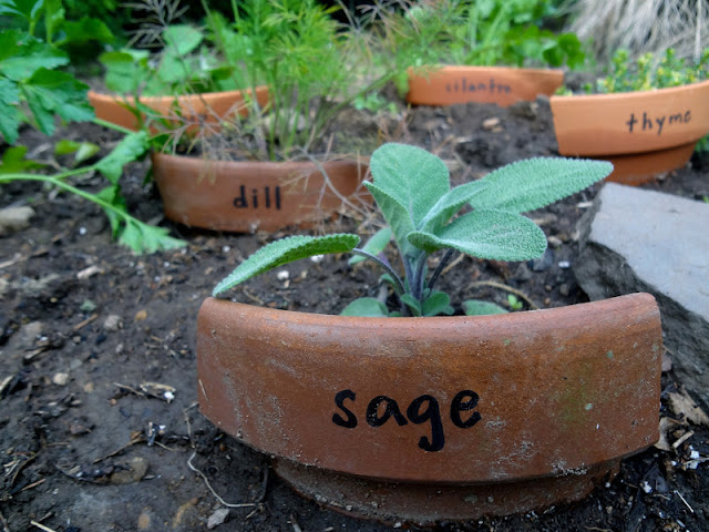 15-cute-diy-garden-marker-ideas-for-your-spring-garden-14