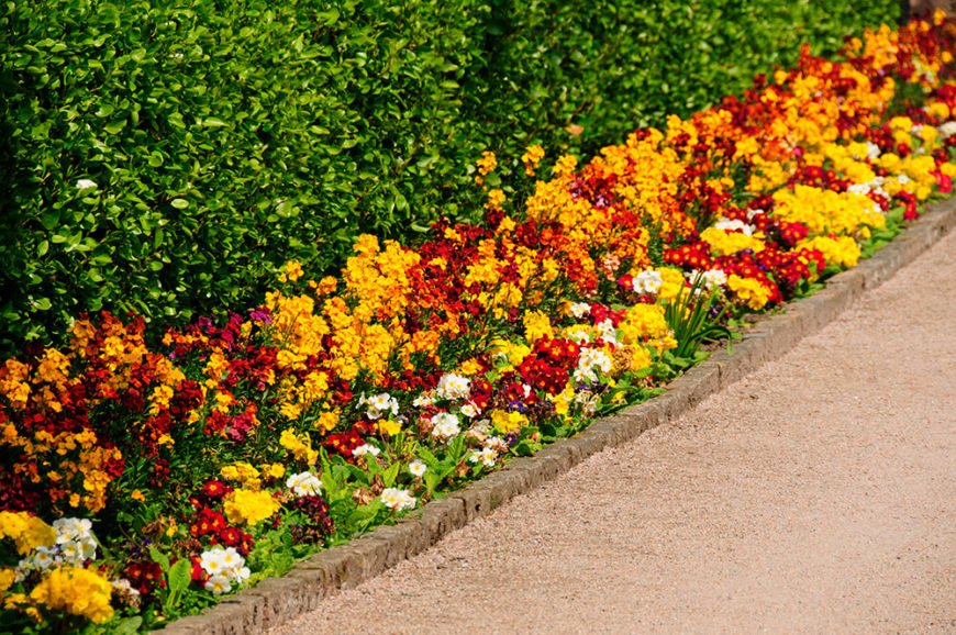 25-garden-hedge-designs-870x578-1