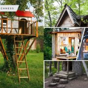 40 fun tree houses you can have2
