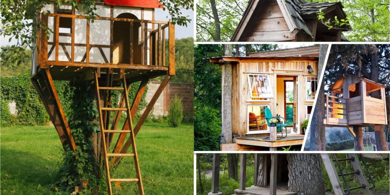 40 fun tree houses you can have2