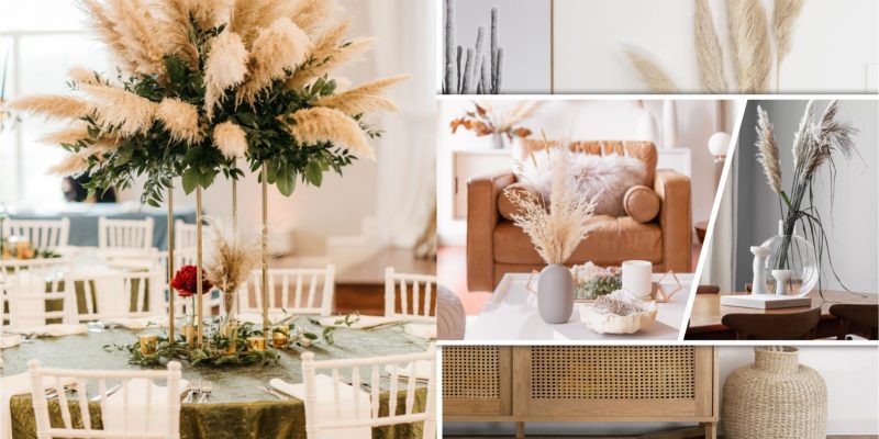 50 ways to present pampas grass to your home decoration2